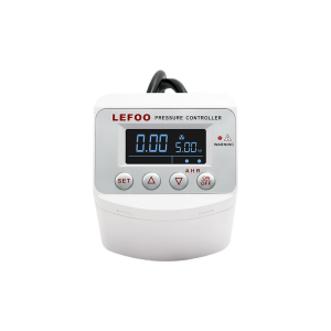 LFDS630 Digital Pressure Controller, -101~10kPa, positive pressure:0~20bar