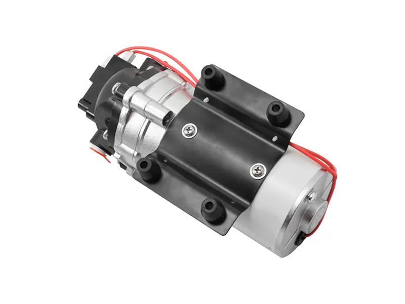 12vdc demand delivery pump lfp0150t wholesale manufacturers