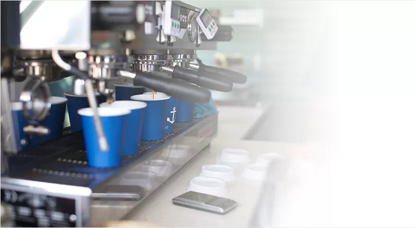 Diaphragm Booster Pumps