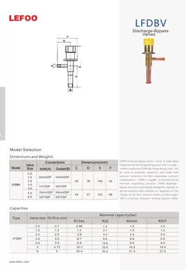 Discharge-Bypass Valves LFDBV
