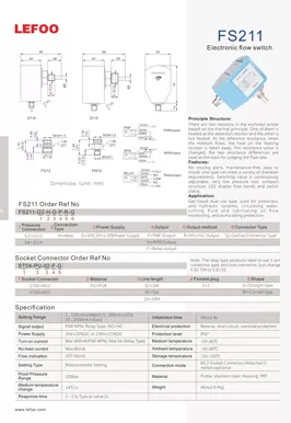 Electronic Flow Switch FS211