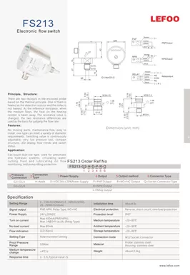 Electronic Flow Switch FS213