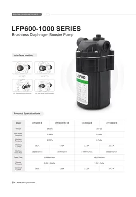 LEFOO 24V 600-1000GPD Series Brushless