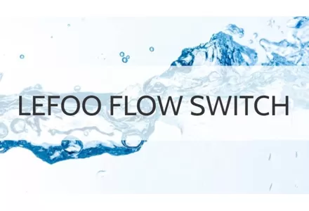 Lefoo Flow Switch