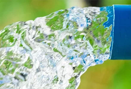 Vane Type Flow Switches